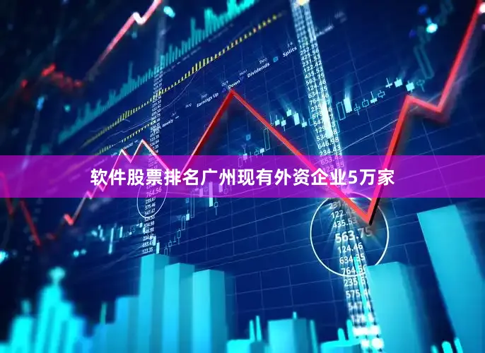 软件股票排名广州现有外资企业5万家